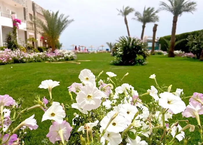 Beachfront Cozy Flat 10 Minutes From Air Port, Free Wifi Apartment *
