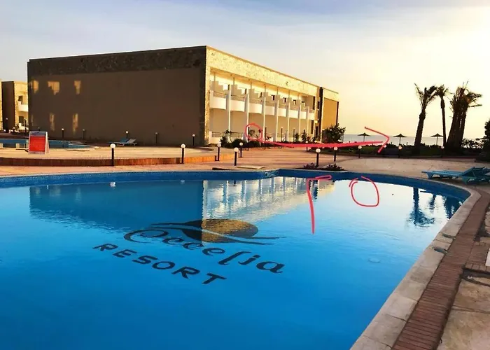 Beachfront Cozy Flat 10 Minutes From Air Port, Free Wifi Apartment Hurghada